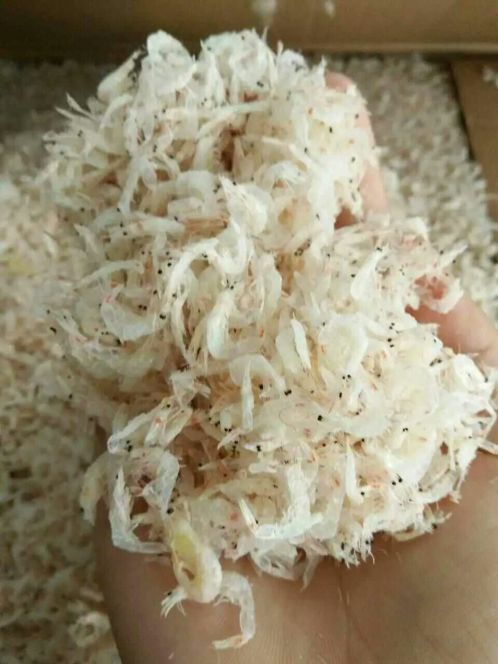 dried-baby-shrimp-2